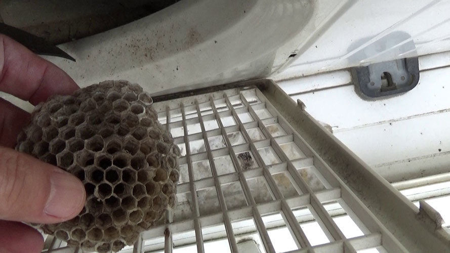 郡山市で室外機のアシナガバチの巣を撤去