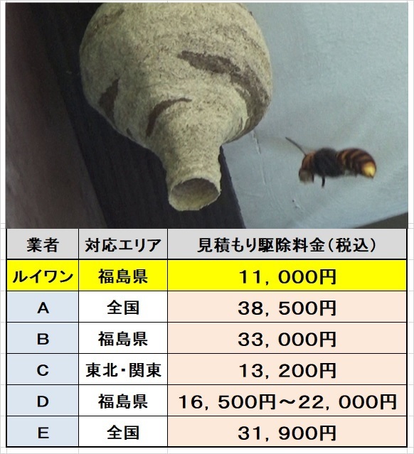 福島県でハチ駆除料金の比較