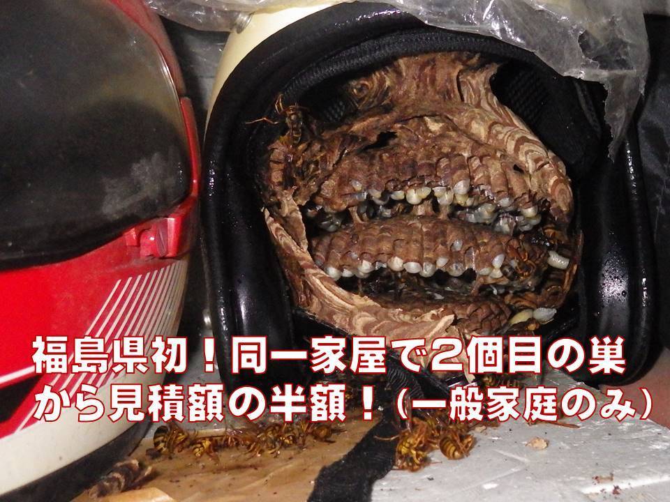 ハチ駆除料金