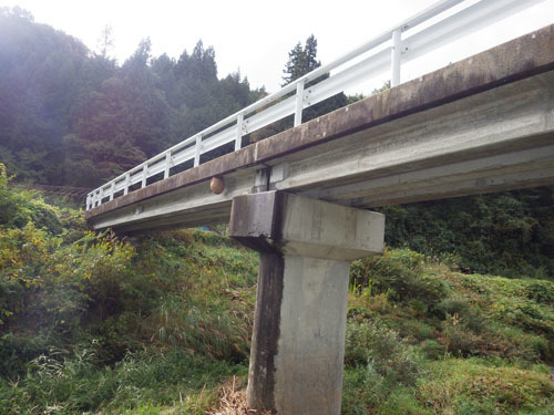 橋の下に作ったキイロスズメバチの巣（田村市）