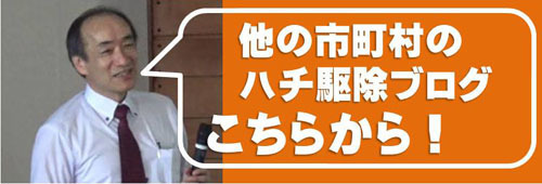 他の市町村のハチ駆除ブログをみたい