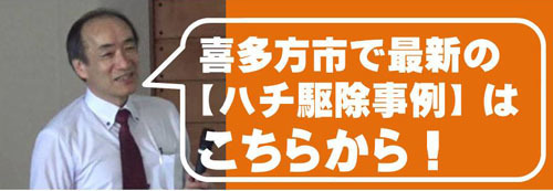 喜多方市で【ハチ駆除事例】