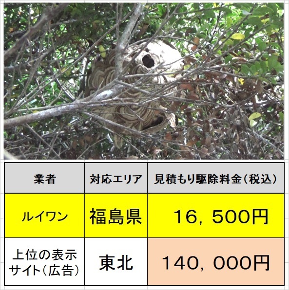 スズメバチ駆除料金の比較