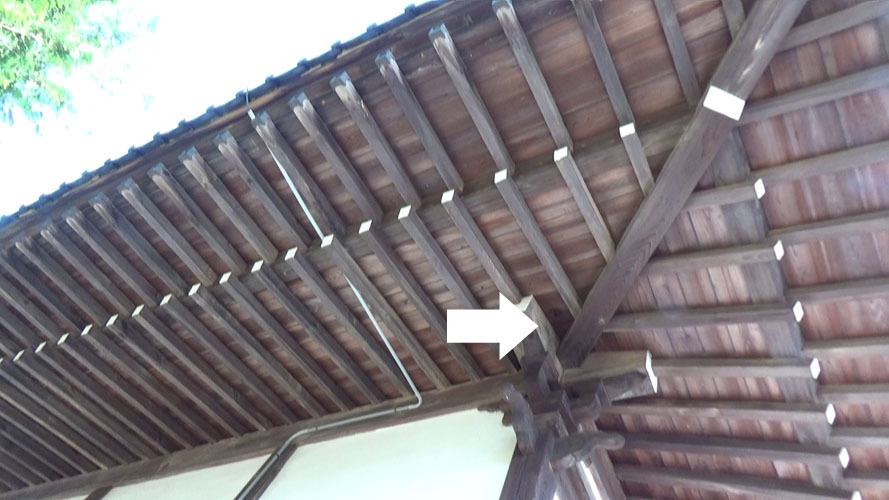 須賀川市諏訪町でスズメバチ駆除の現場