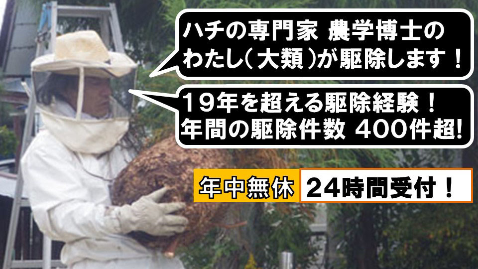 年中無休・２４時間受付で年間のハチ駆除件数４００件超