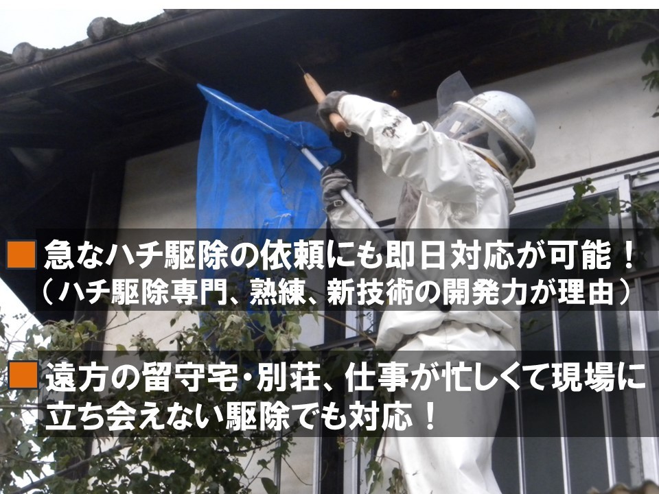 ルイワンの４つの特徴