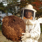 ハチ駆除業者として選ばれる理由