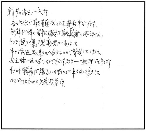 伊達市でスズメバチ駆除の口コミ