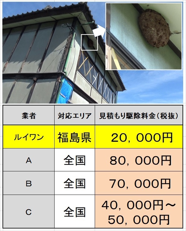 スズメバチ駆除料金の比較