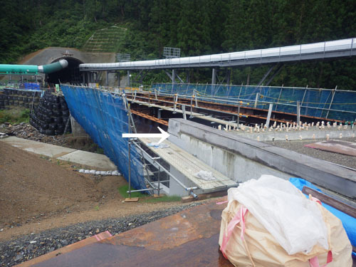 会津若松市でスズメバチ駆除の現場