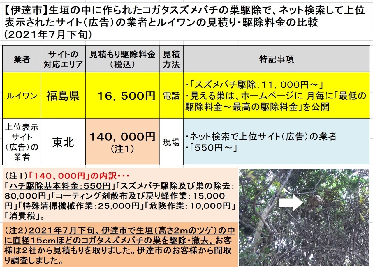 伊達市で生垣のコガタスズメバチの駆除料金比較