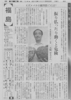 朝日新聞 福島版