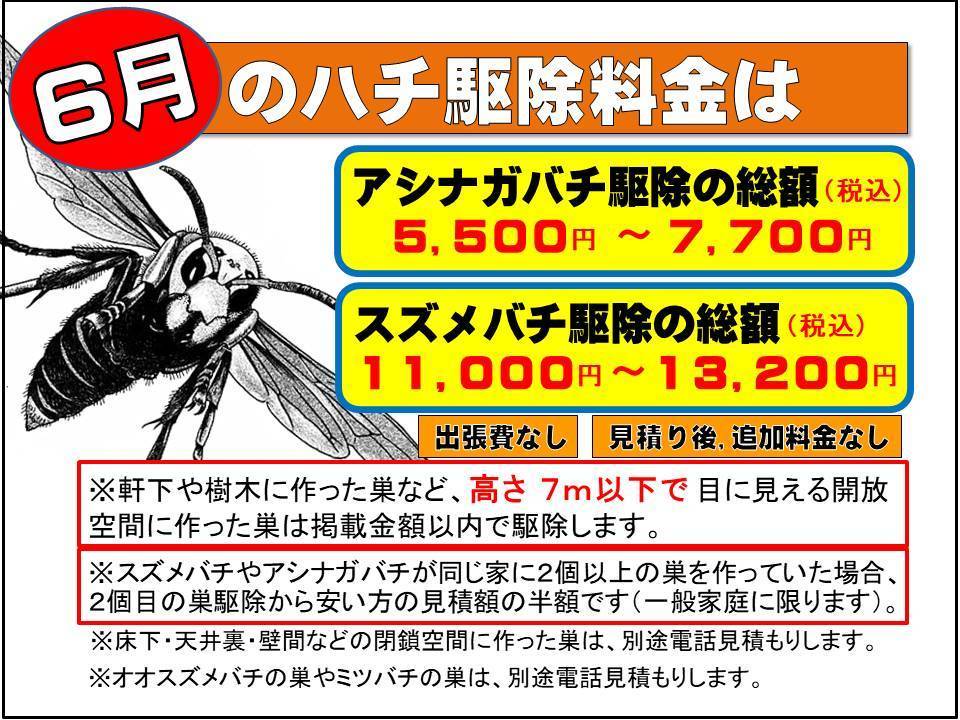 スズメバチ駆除料金（月別）