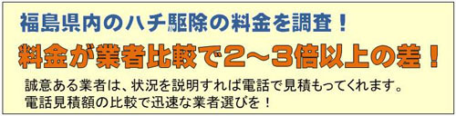 ハチ駆除料金