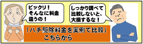 ハチ駆除料金を実例で比較