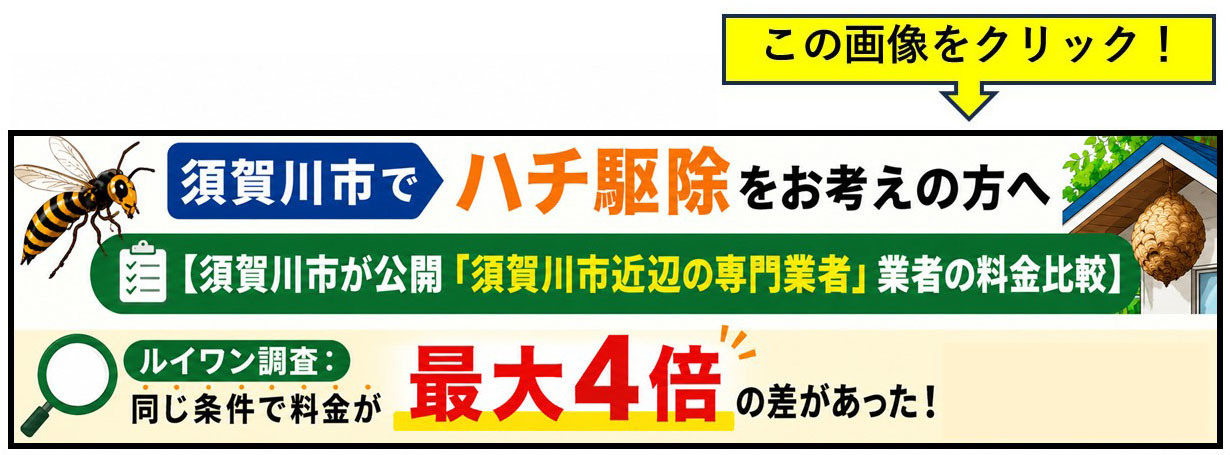 須賀川市でハチ駆除をお考えの方へ