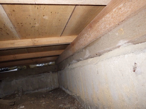 平田村で床下のスズメバチの巣をマイクロスコープで探すが未発見
