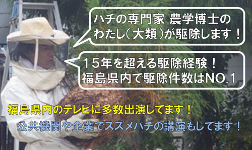 スズメバチ駆除の専門家 農学博士の大類幸夫が駆除します！