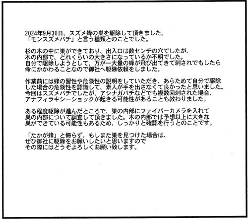 田村市滝根町でスズメバチ駆除の口コミ