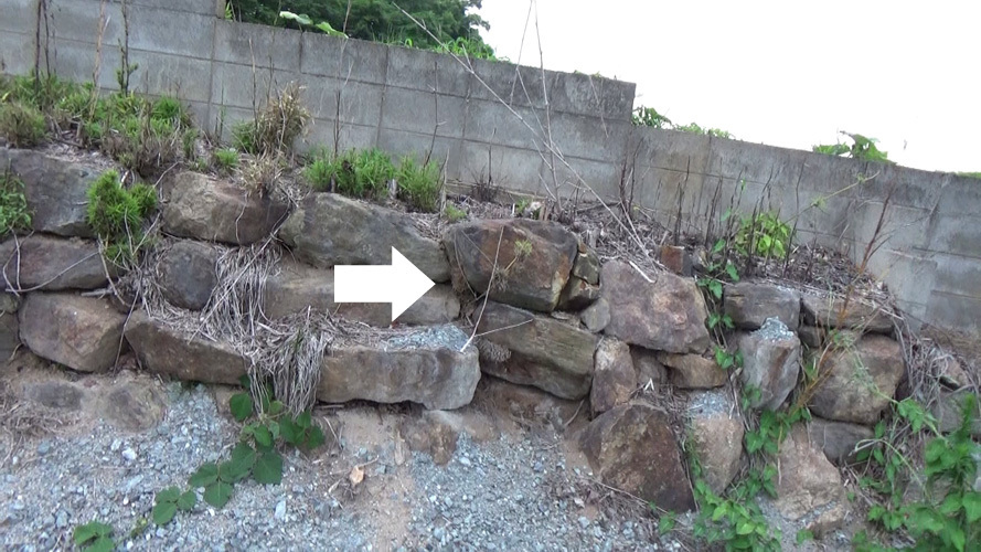 須賀川市でスズメバチの母巣駆除の現場