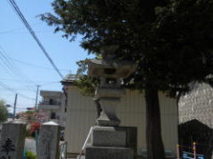 三春町でミツバチに刺された現場