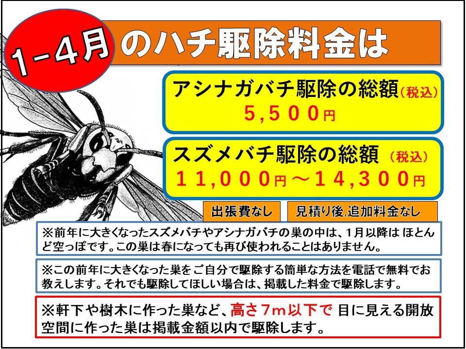 ハチ駆除料金