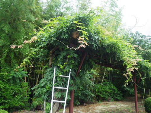 桑折町でスズメバチ駆除の現場