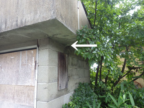 スズメバチがポンプ小屋の軒裏から出入り（郡山市）