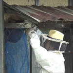 福島県内のスズメバチ駆除の動画