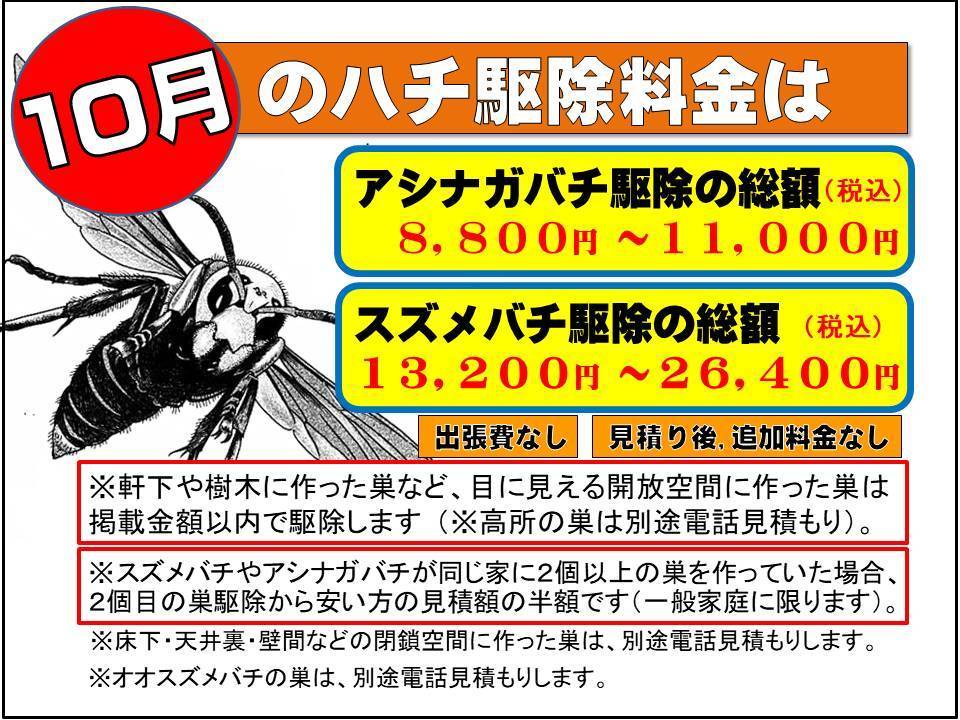 スズメバチ駆除料金（月別）