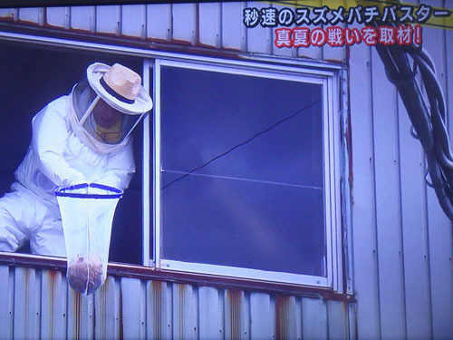 泉崎村でスズメバチ駆除の取材