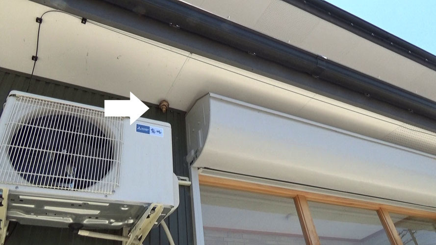 須賀川市でスズメバチ駆除の現場