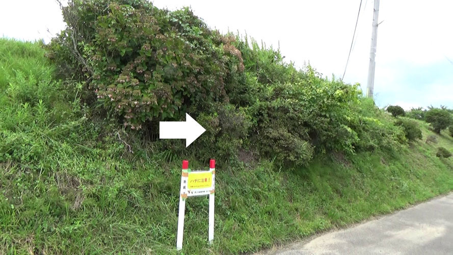 郡山市でスズメバチ駆除の現場