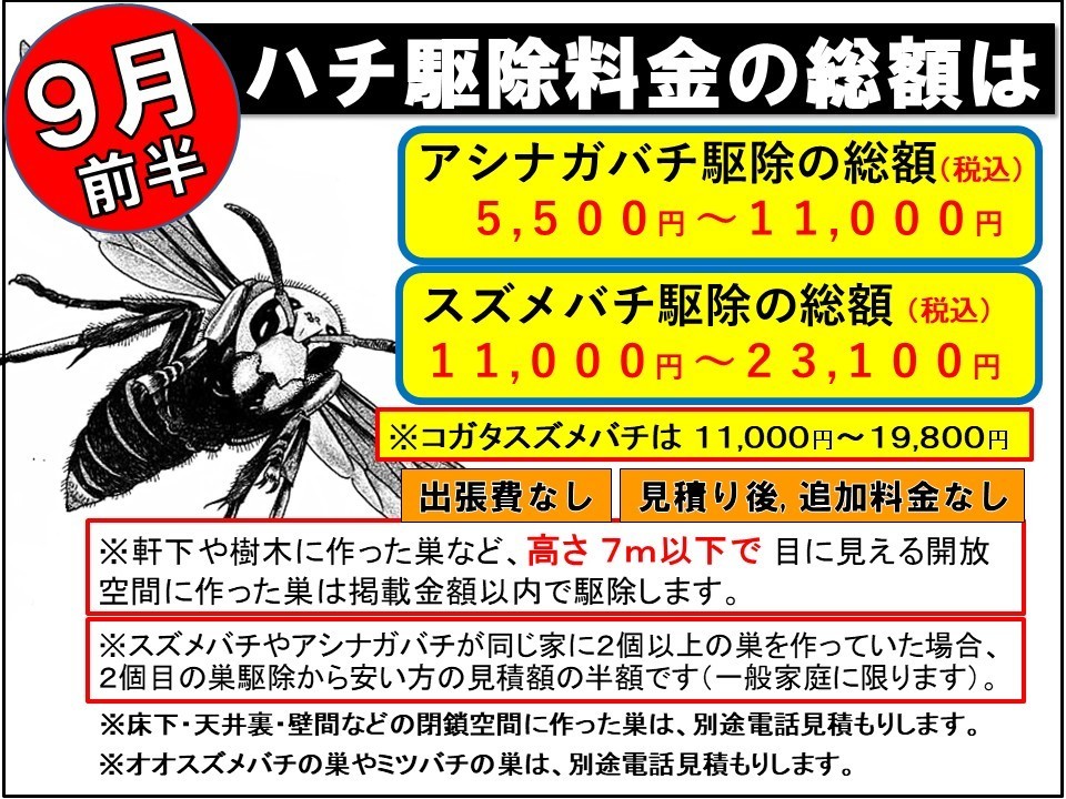 ハチ駆除のトータル料金を月別に公開