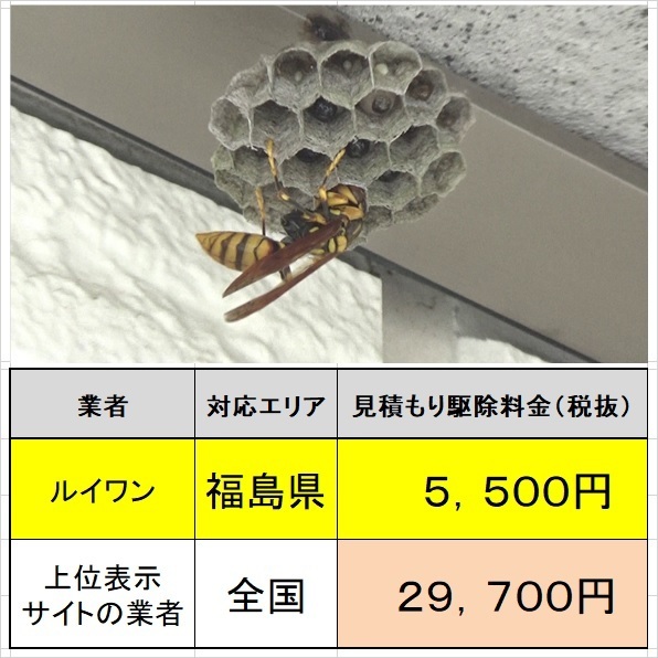 ハチ駆除料金の比較