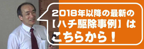 ハチ駆除事例（２０１８年以降）