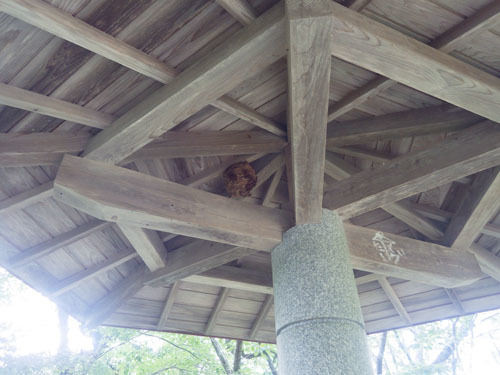 キイロスズメバチの巣が公園の東屋の軒下に（小野町）