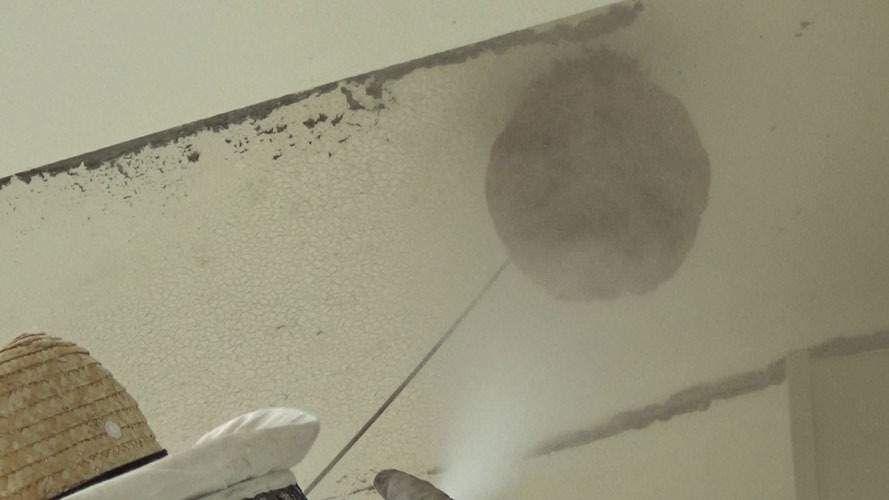 殺虫剤をノズルで巣の中に注入・巣の外に噴射(郡山市)