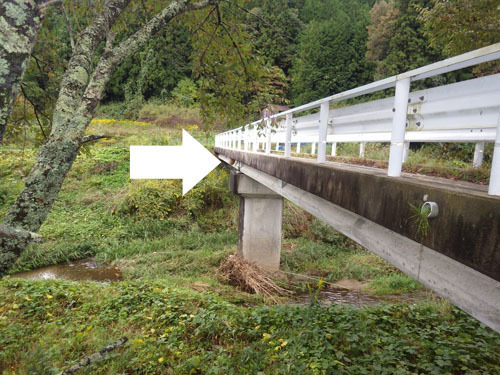 田村市でスズメバチ駆除の現場