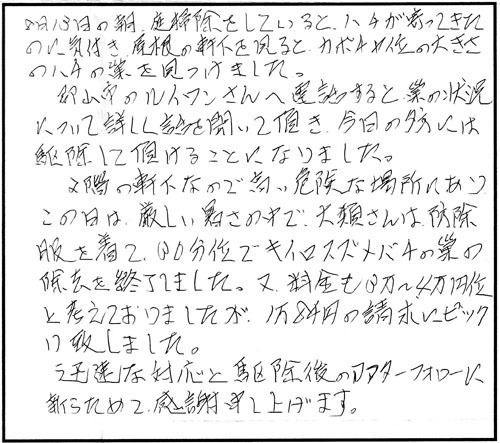 磐梯町でスズメバチ駆除の口コミ