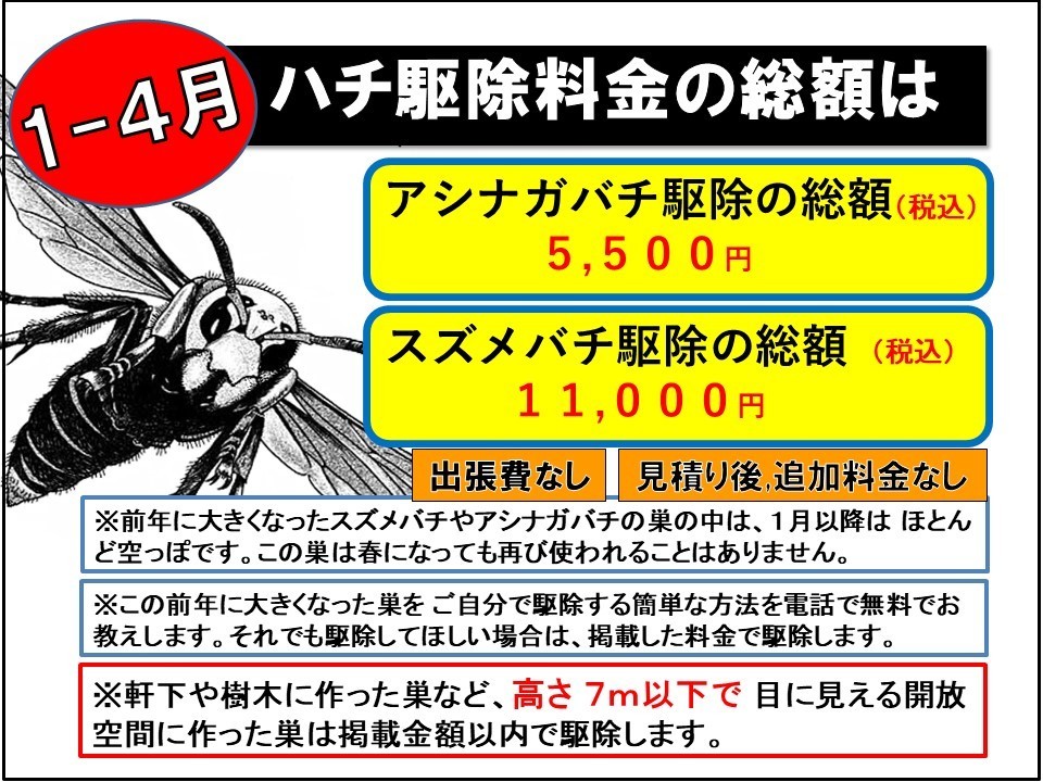 １１月のハチ駆除料金の総額