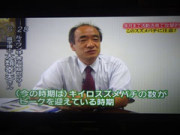 福島中央テレビ「ごじテレＣｈｕ！」