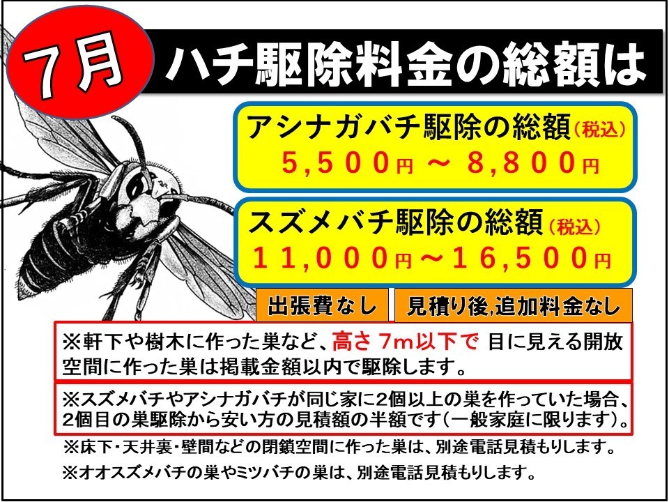 ハチ駆除のトータル料金を月別に公開