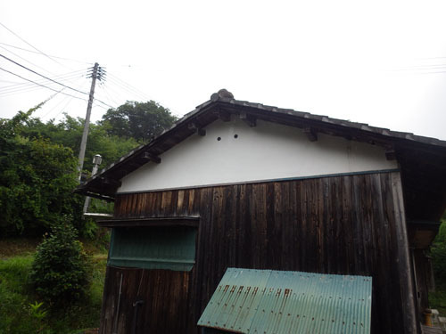 田村市でスズメバチ駆除の現場