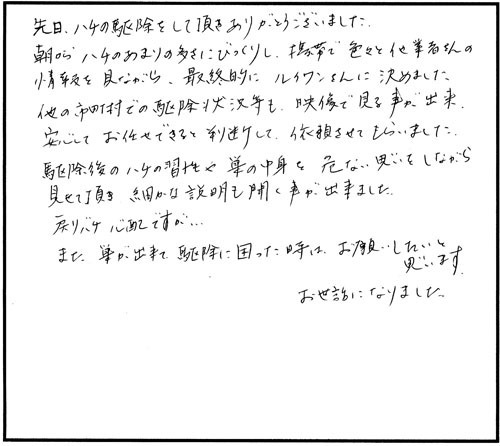 小野町でスズメバチ駆除のお客様の声