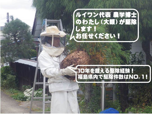 スズメバチ専門家 農学博士の大類幸夫