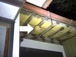 大玉村で玄関天井のキイロスズメバチ駆除