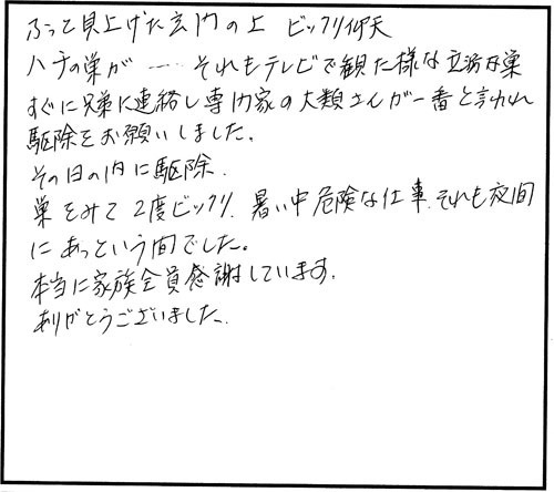 郡山市でスズメバチ駆除のお客様の声