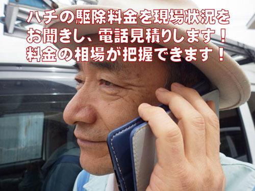 ハチ駆除料金の電話見積り