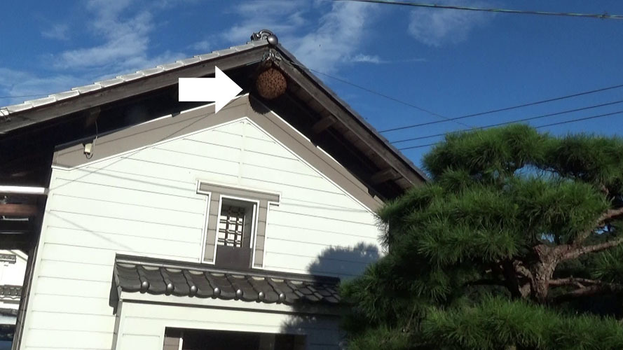 軒下の巨大なスズメバチの巣